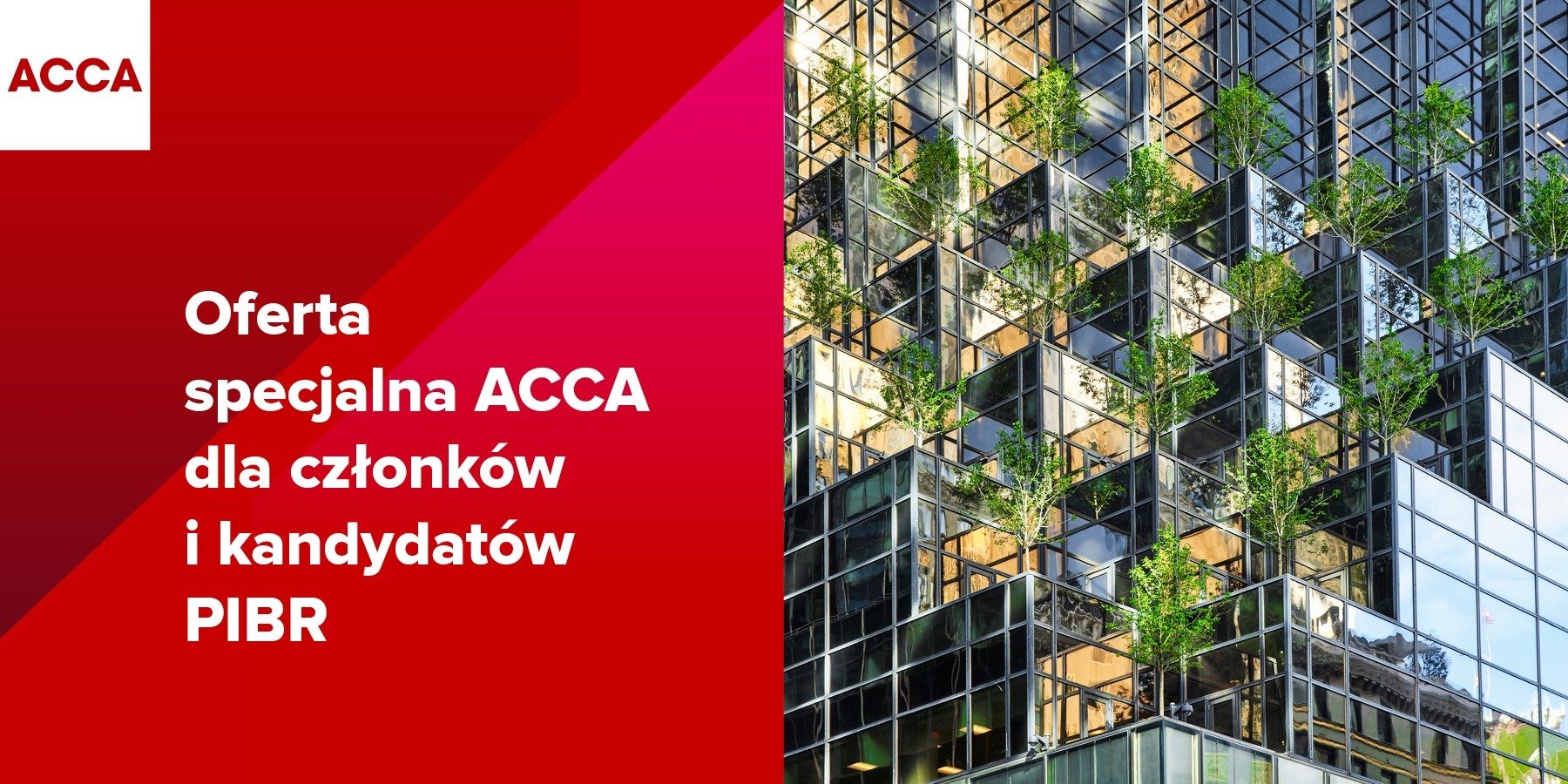 Specjalna oferta ACCA dla biegłych rewidentów!