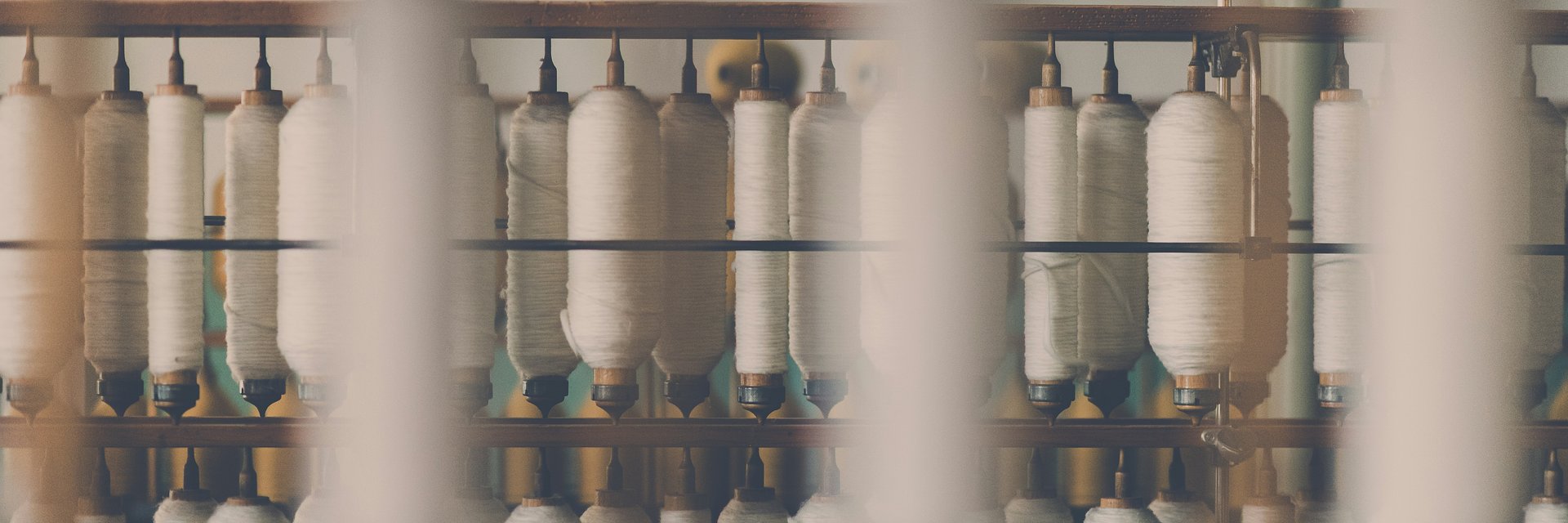 New Coalition Launches to Advance Soil-to-Soil Textile Systems