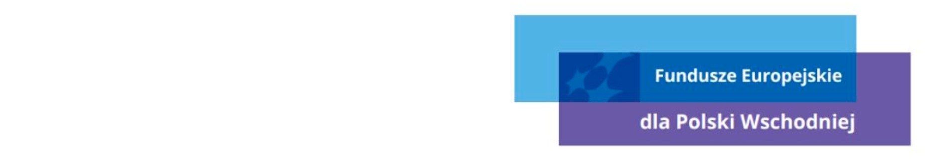 Historie sukcesu: AI zamiast freelancera. Jak mysite.ai przyspiesza cyfryzację małych firm