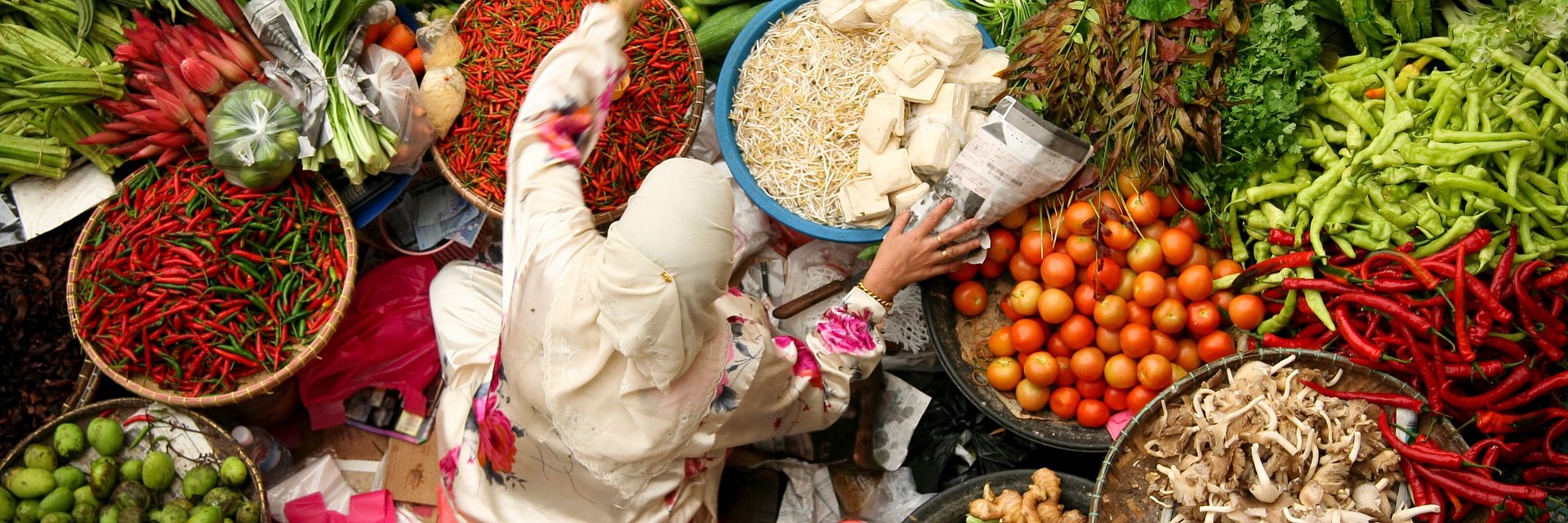 Raport EAT-Lancet ponownie podkreśla kluczowe znaczenie żywności roślinnej dla zdrowych, zrównoważonych i sprawiedliwych systemów żywnościowych