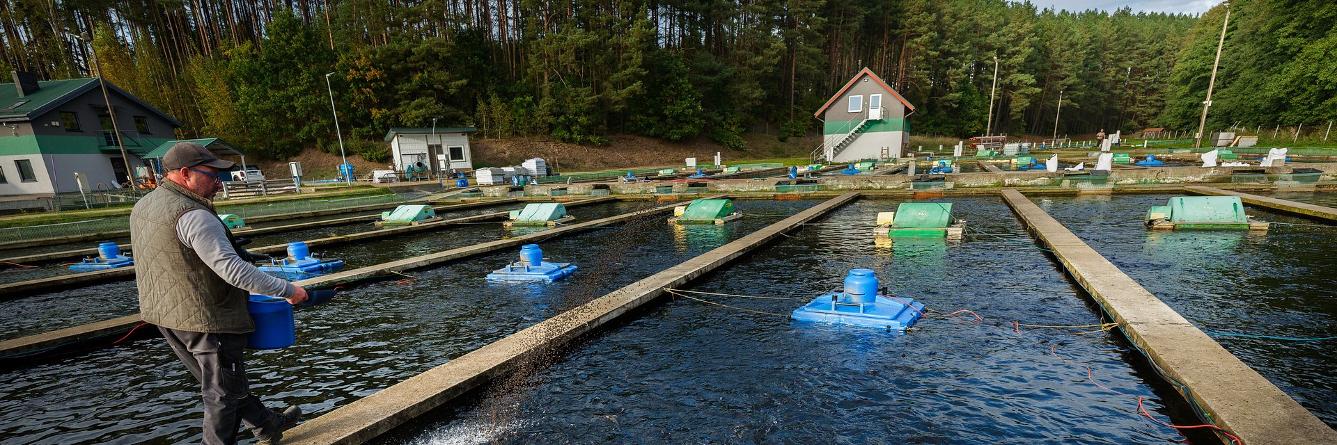 Najlepszy konsument pstrąga to świadomy konsument. Czy Polacy czytają etykiety produktów?