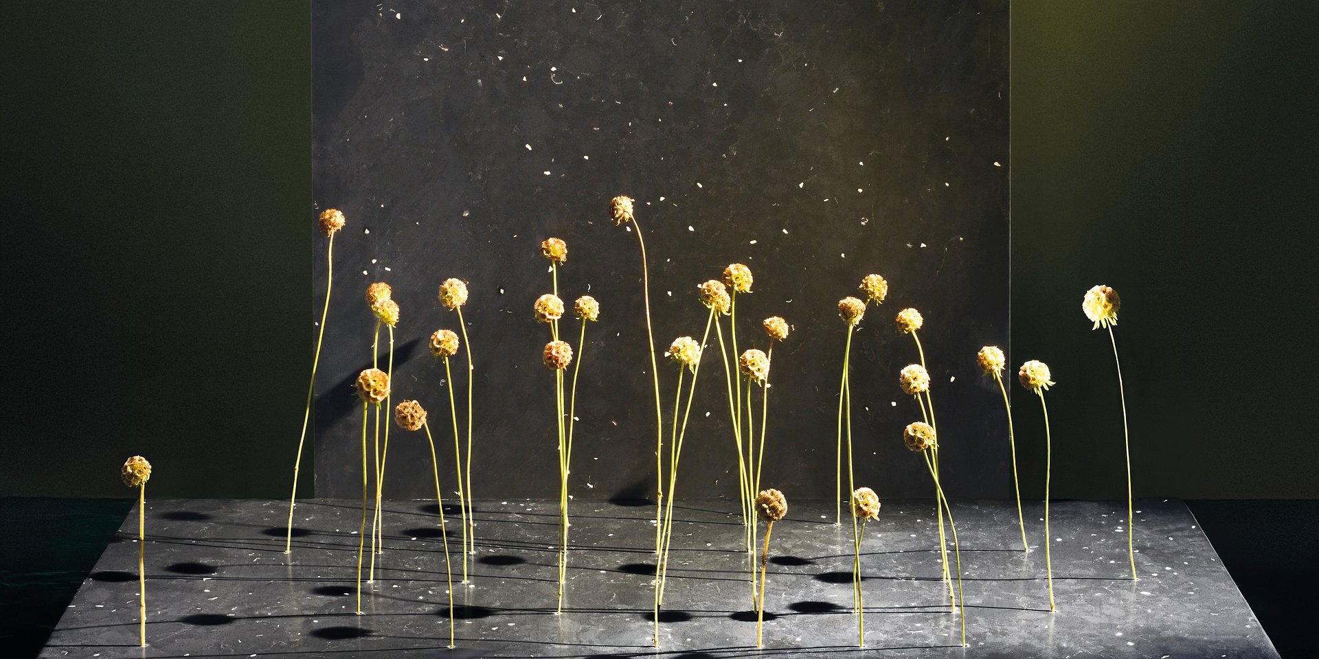 Design i architektura przyszłości – trendy na 2026 rok według raportu Cosentino®