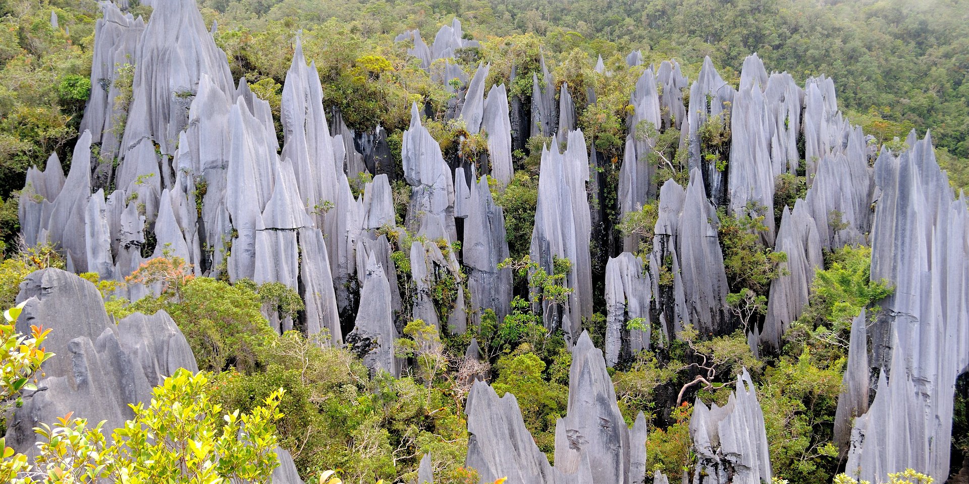 Sarawak Tourism Board Highlights Culture, Nature and Sustainability with Largest-Ever Showcase at WTM London 2025 - Setting the Stage for Visit Malaysia Year 2026 Untitled