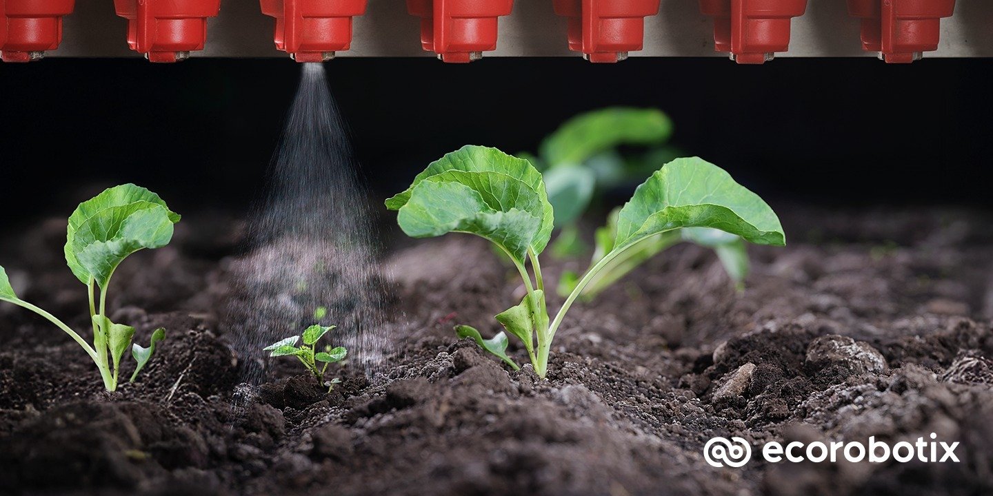 Ecorobotix présente une première mondiale à Agritechnica : une IA capable d’appliquer en toute sécurité des herbicides de contact non sélectifs de manière ciblée