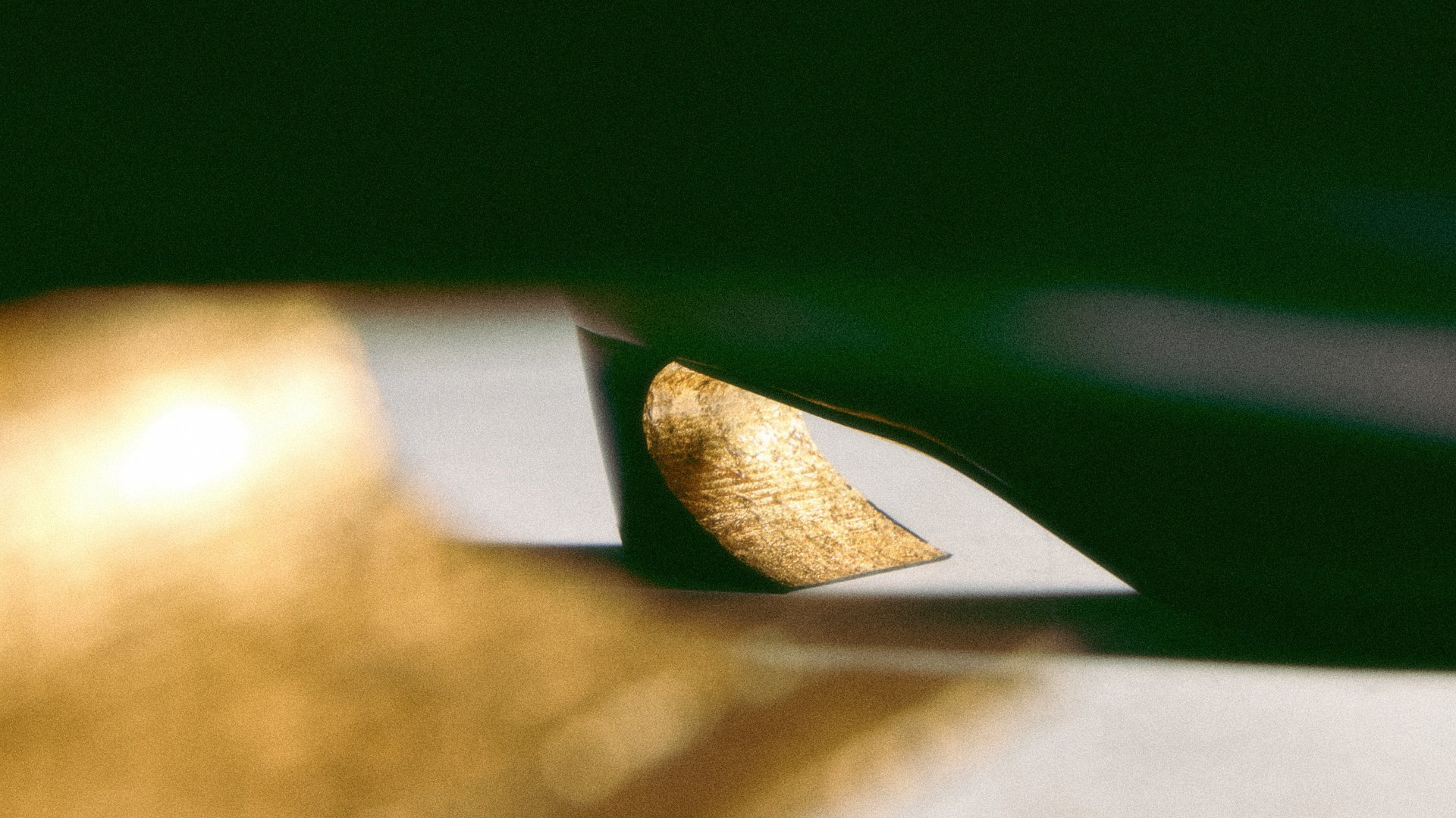 SACRA MODERNA. Harmony. Hallowed. GoldKolekcja Vanda Novak na sezon AW25