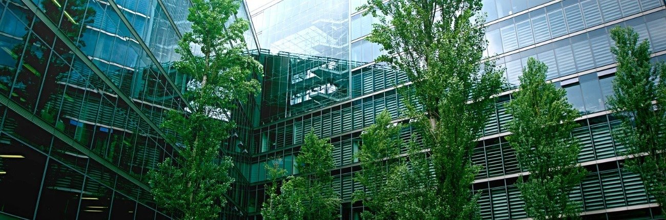 Zielony język biznesu. Eksperci uczą, jak mówić o ESG w liczbach