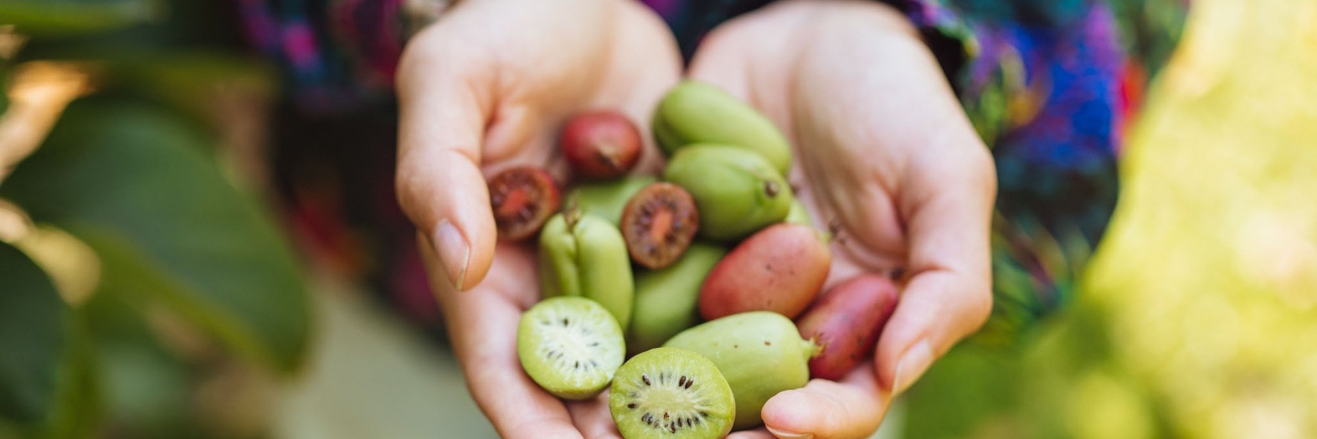 Superowoce na początku jesieni - Kantar Polska