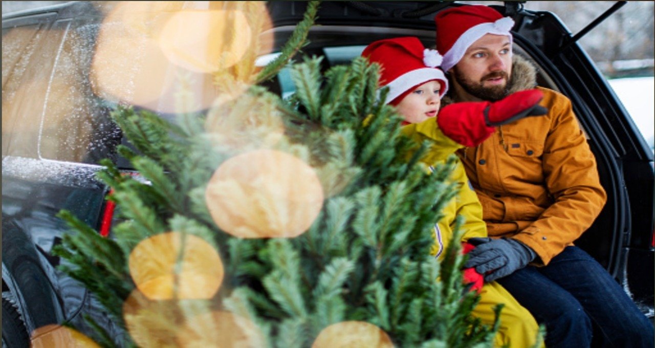 5 rzeczy, które musisz zrobić, jak przewozisz choinkę na święta. Poradnik Steinhof
