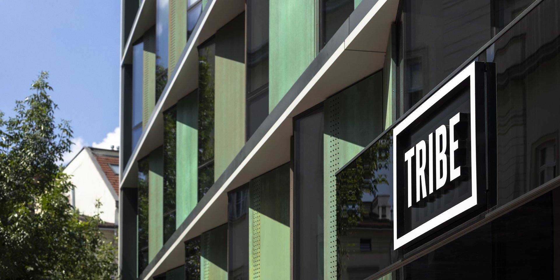 TRIBE łączy siły z ASP Wrocław i MIXD w projekcie edukacyjnym dla studentów