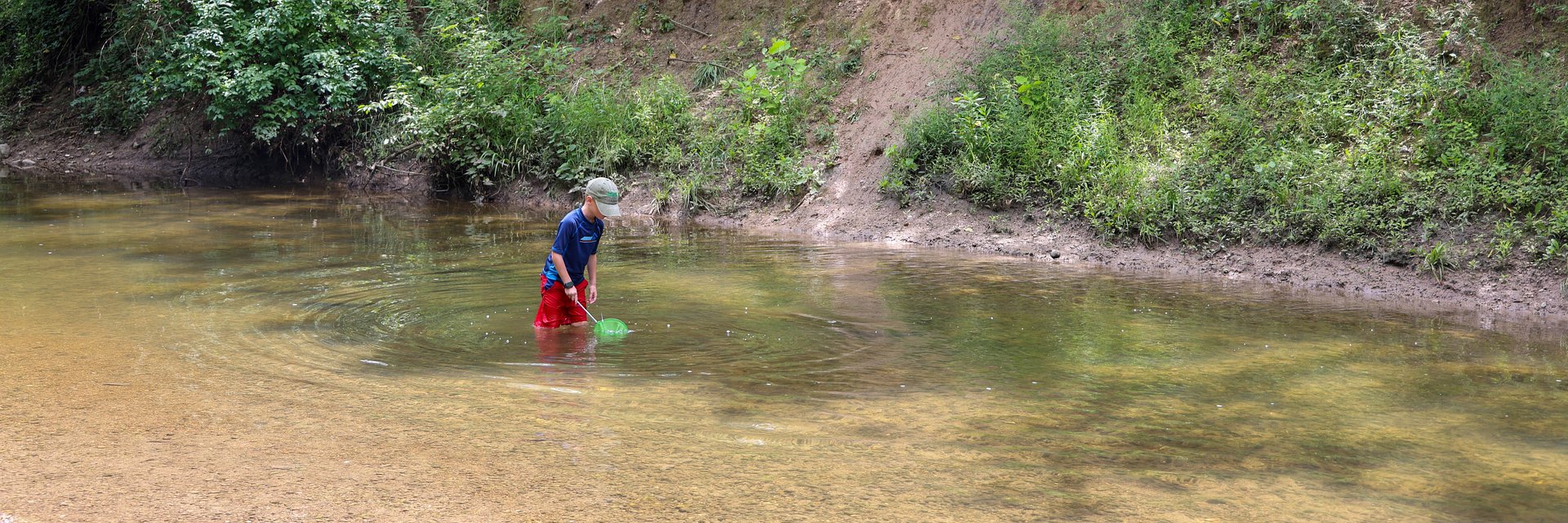 Protecting and Enhancing White Lick Creek in Arbuckle Acres Park