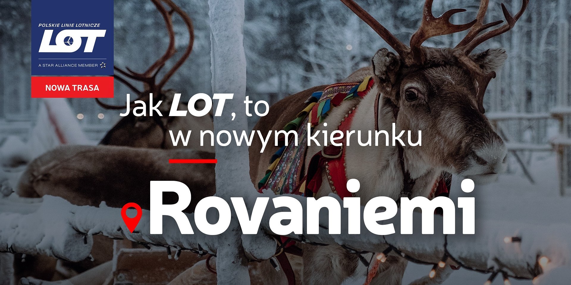 Podróż w świątecznym kierunku. PLL LOT zainaugurowały połączenia do Rovaniemi