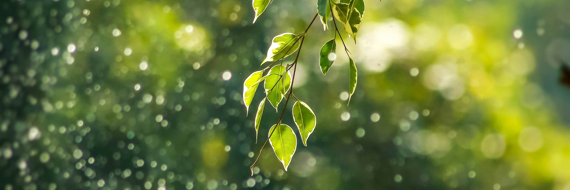 Grupa Pracuj z wyróżnieniem w konkursie „Raporty Zrównoważonego Rozwoju”