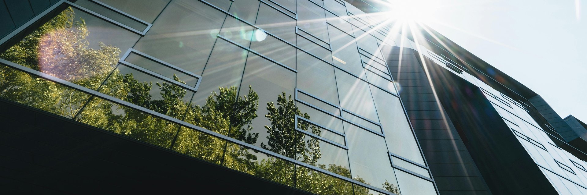 Planeta kontra technologia? Oto co musi zmienić się w rozwoju GenAI