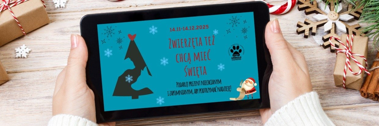 Podaruj prezent zwierzakom z Ciapkowa
