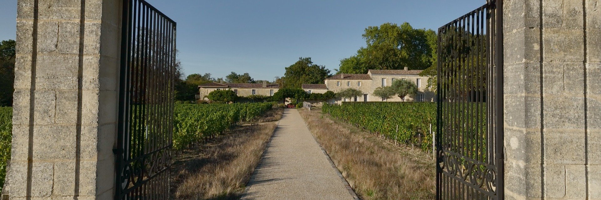 WINO DLA NAZISTÓW. CIERPKI SMAK KOLABORACJI