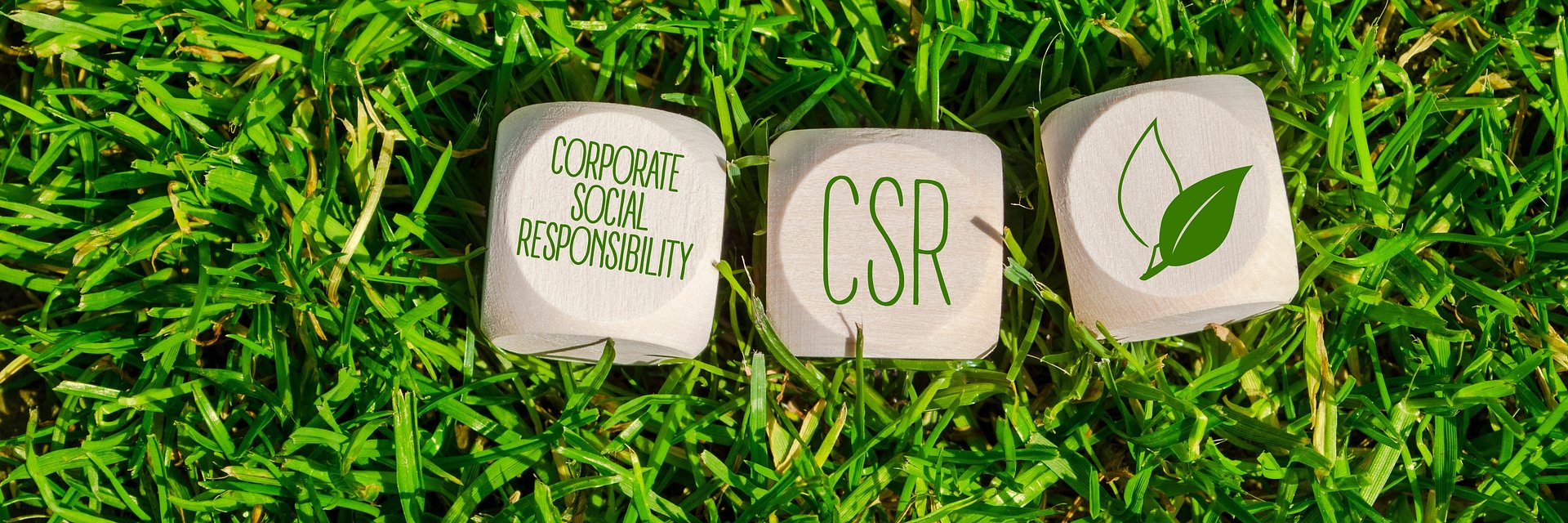 Razem w biznesie i poza nim. Społeczna odpowiedzialność Hydro w praktyce