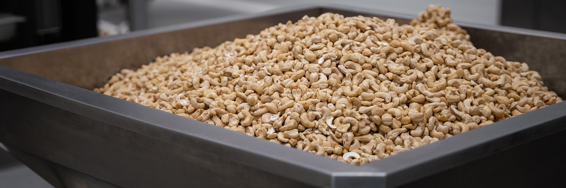 Bakalie w 2025 roku. Jakie trendy zdominowały rynek i co wydarzy się dalej?