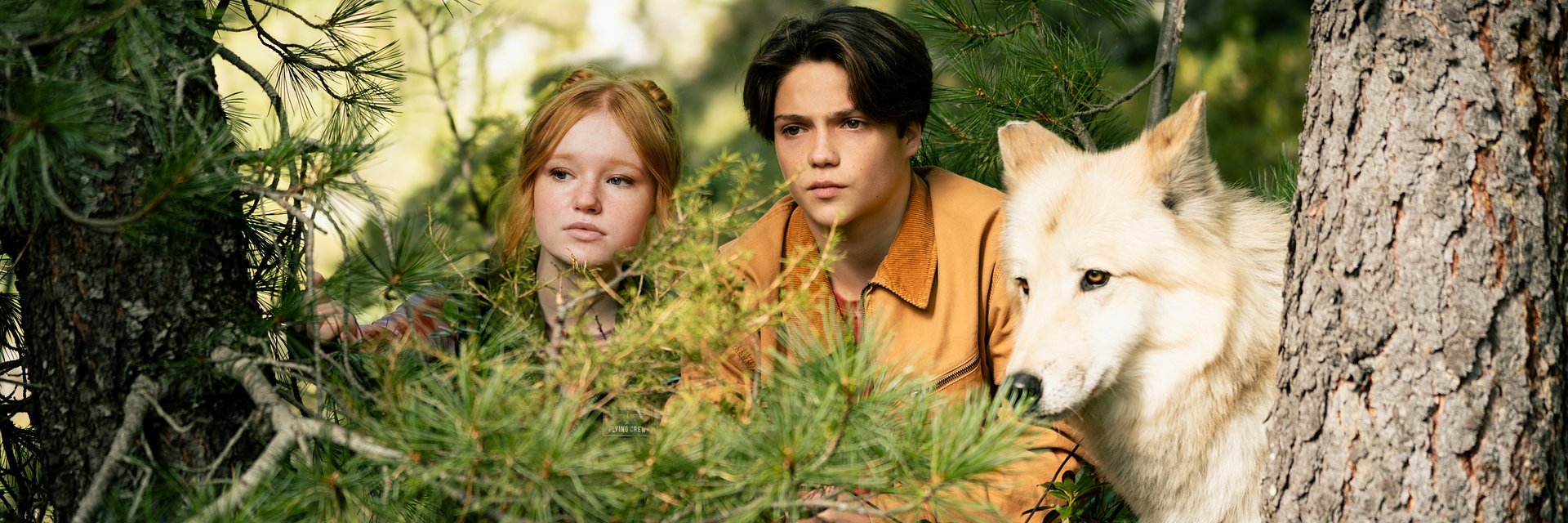 Druga część ekranizacji światowego bestsellera powraca! Prezentujemy zwiastun filmu ZMIENNOKSZTAŁTNI 2