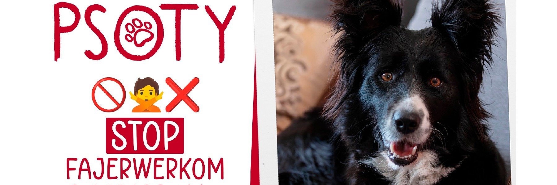 Małgosia Socha, Ola Zagrodzka i Sprytek apelują NIE STRZELAJCIE W SYLWESTRA!