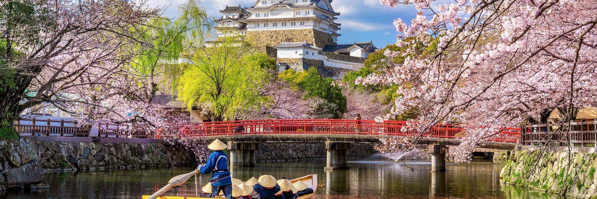 2026 Cherry Blossom Season Set to Be One of Japan’s Most Affordable in Years