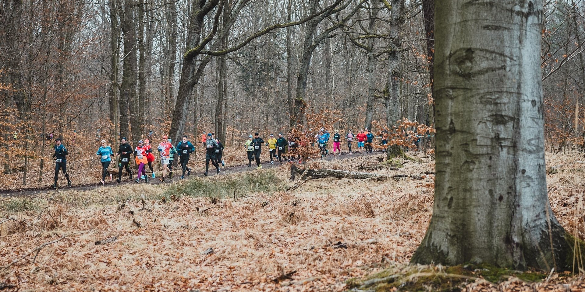 CITY TRAIL łączy siły z Fundacją LOTTO!