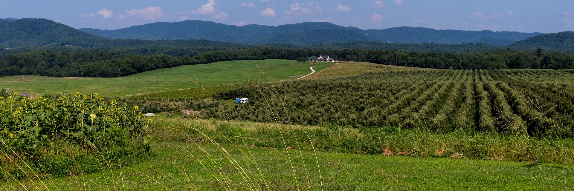 Anne & Gene Worrell Foundation Makes $300k Investment in Central Virginia