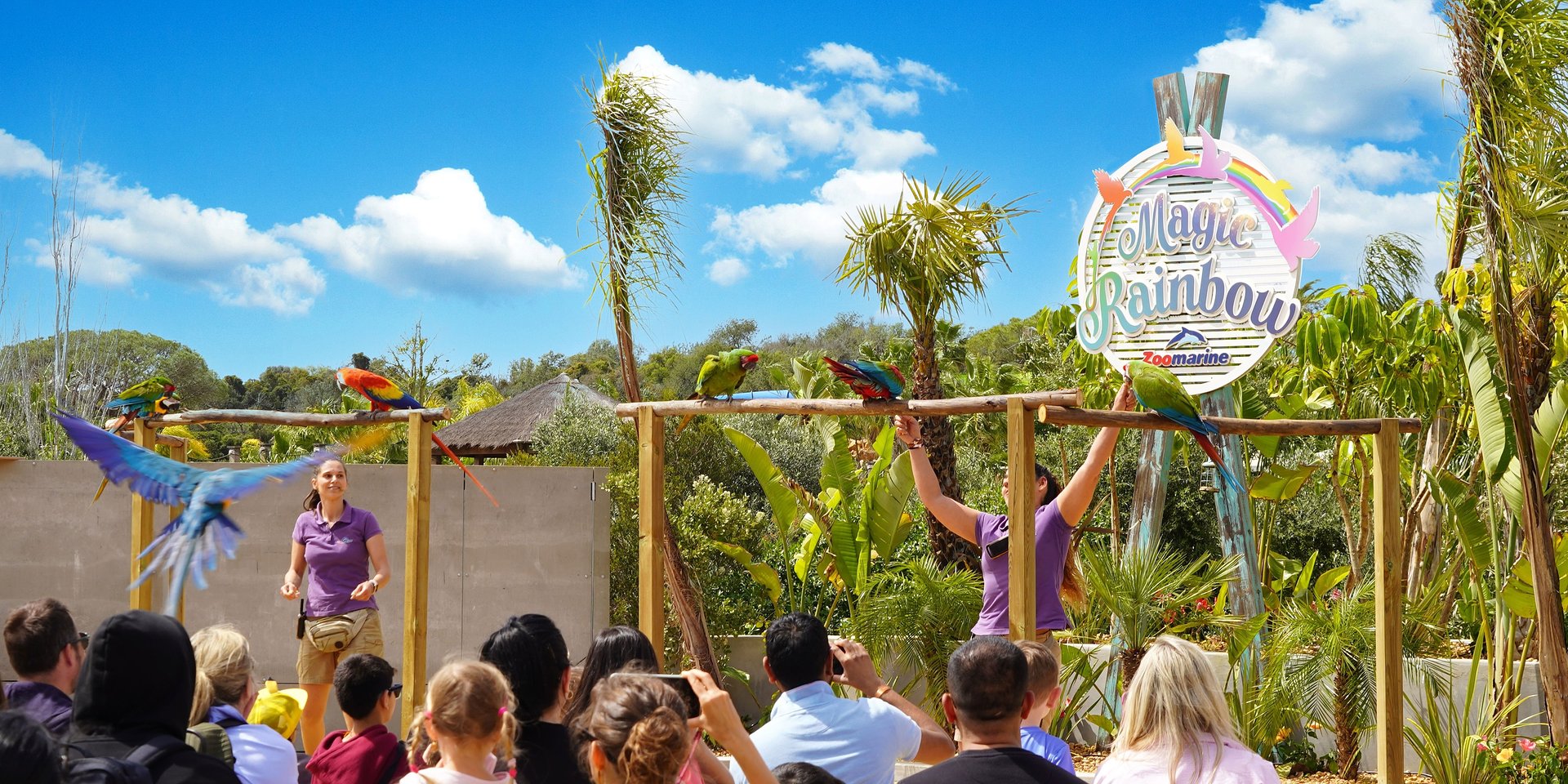 Zoomarine destaca recorde histórico da AIZA que ultrapassou os 15 milhões de visitantes em 2025