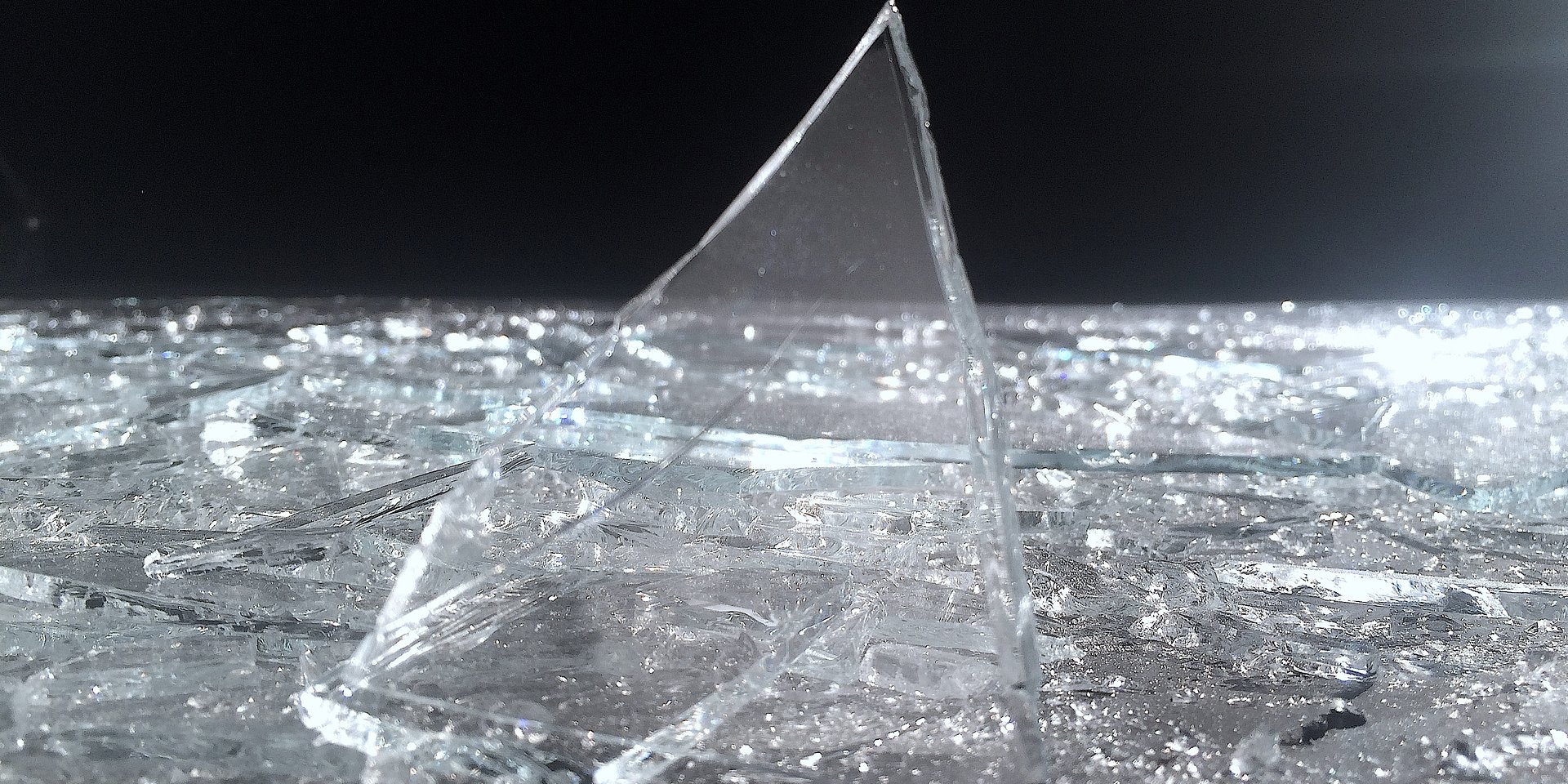 „Enjoy the Silence” – wystawa Anny Zaradny w Galerii Foksal już od 23 stycznia