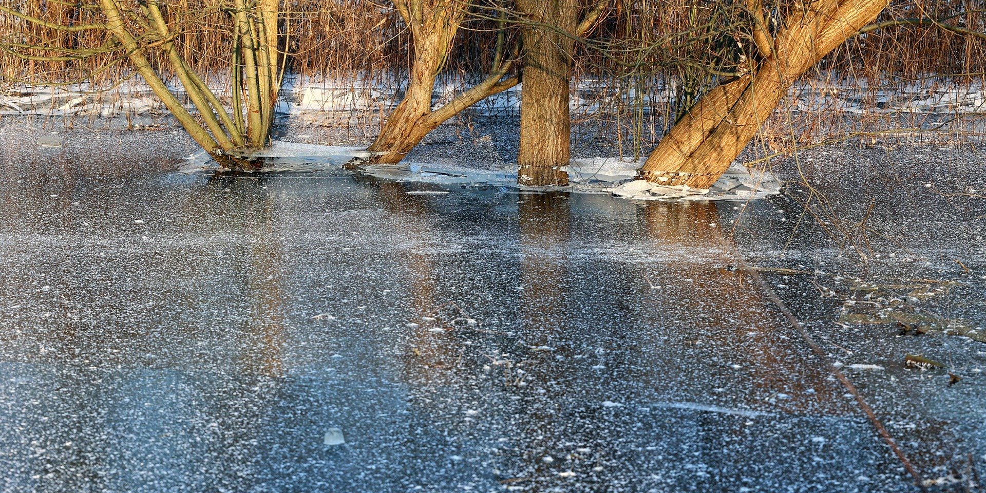 Spotkanie dla uczniów szkół średnich: „Życie kruche jak lód” na UWSB Merito w Toruniu