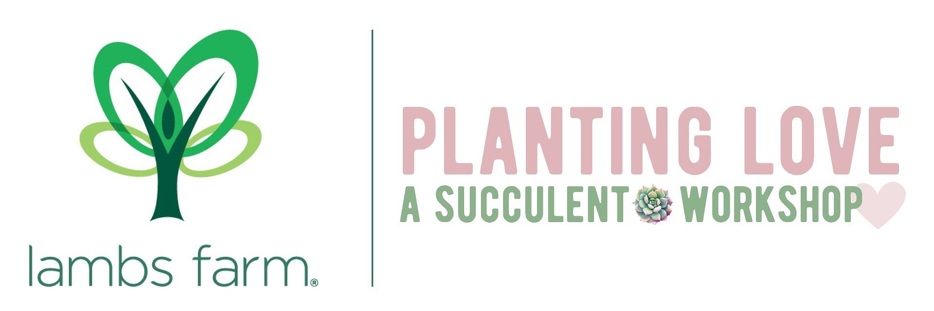 Planting Love: A Succulent Workshop