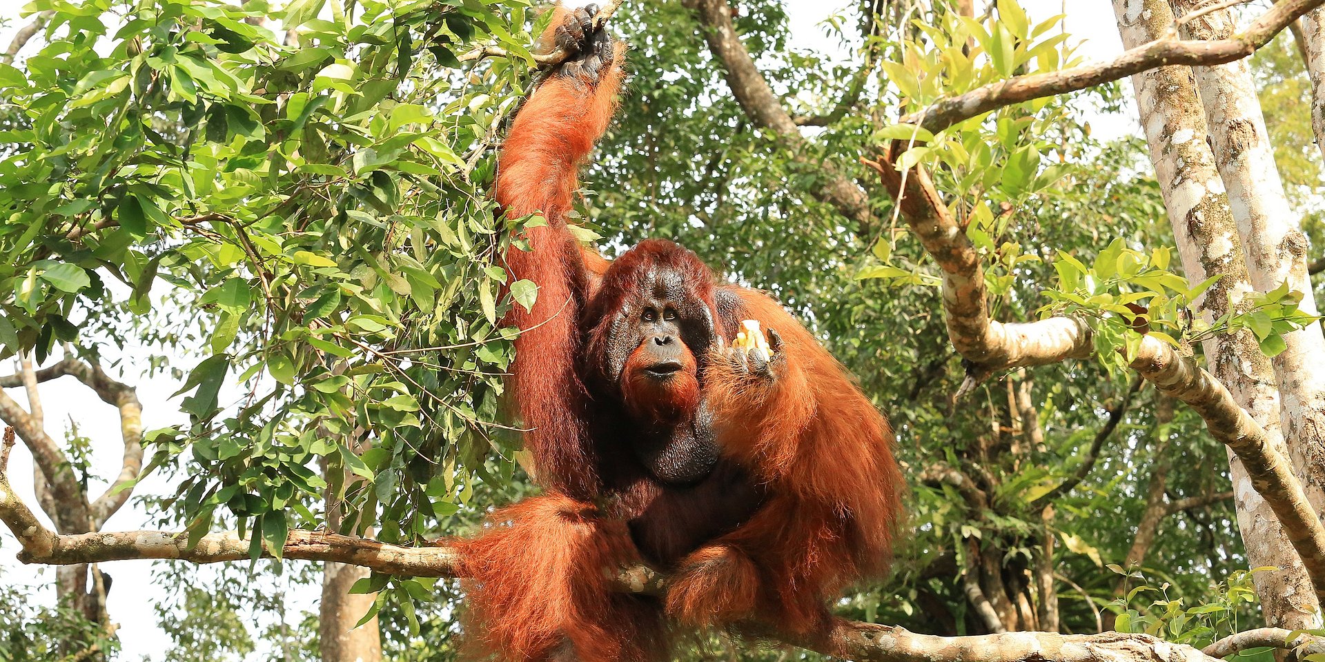 Travel Trends 2026: What UK Travellers Will Be Looking For Next