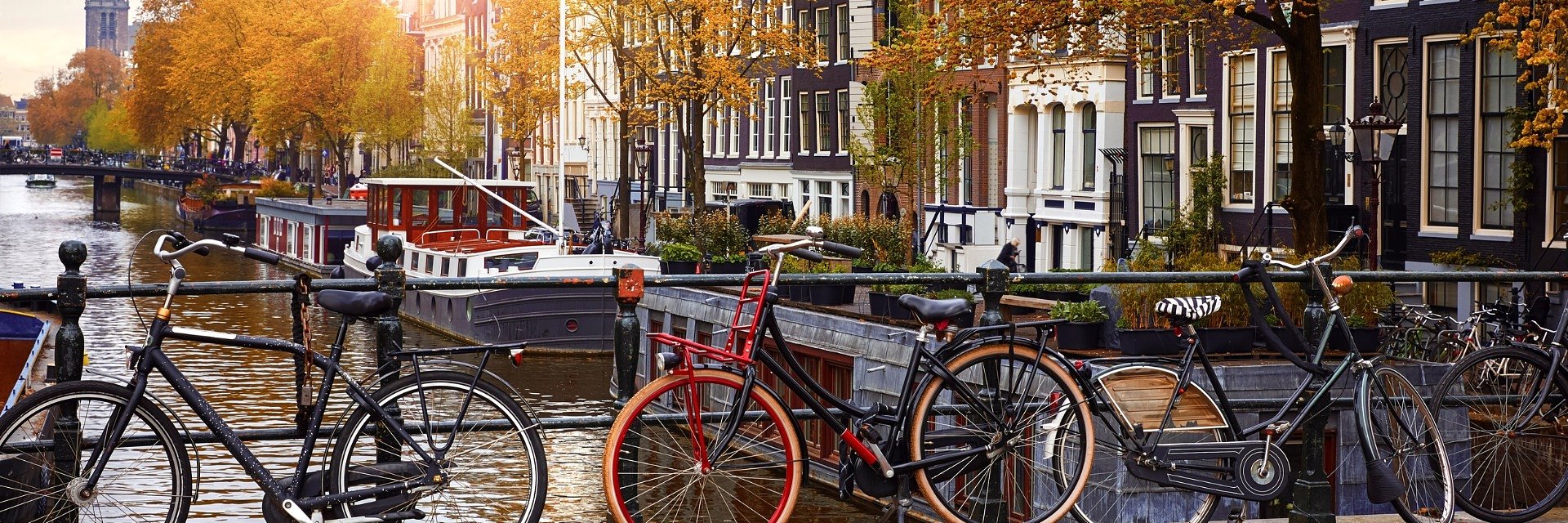 Amsterdam zostanie pierwszą stolicą, która zakazuje reklam mięsa