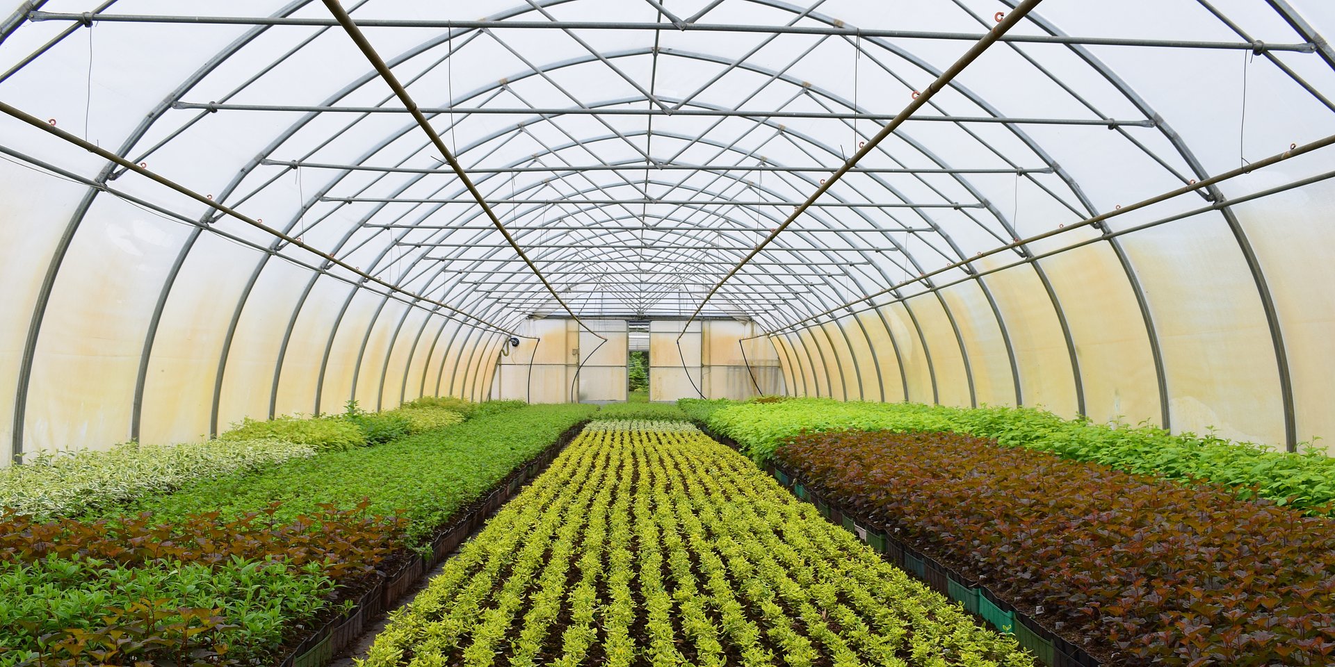 Aluminium w nowoczesnym ogrodnictwie, czyli kilka słów o hortikulturze na miarę XXI wieku