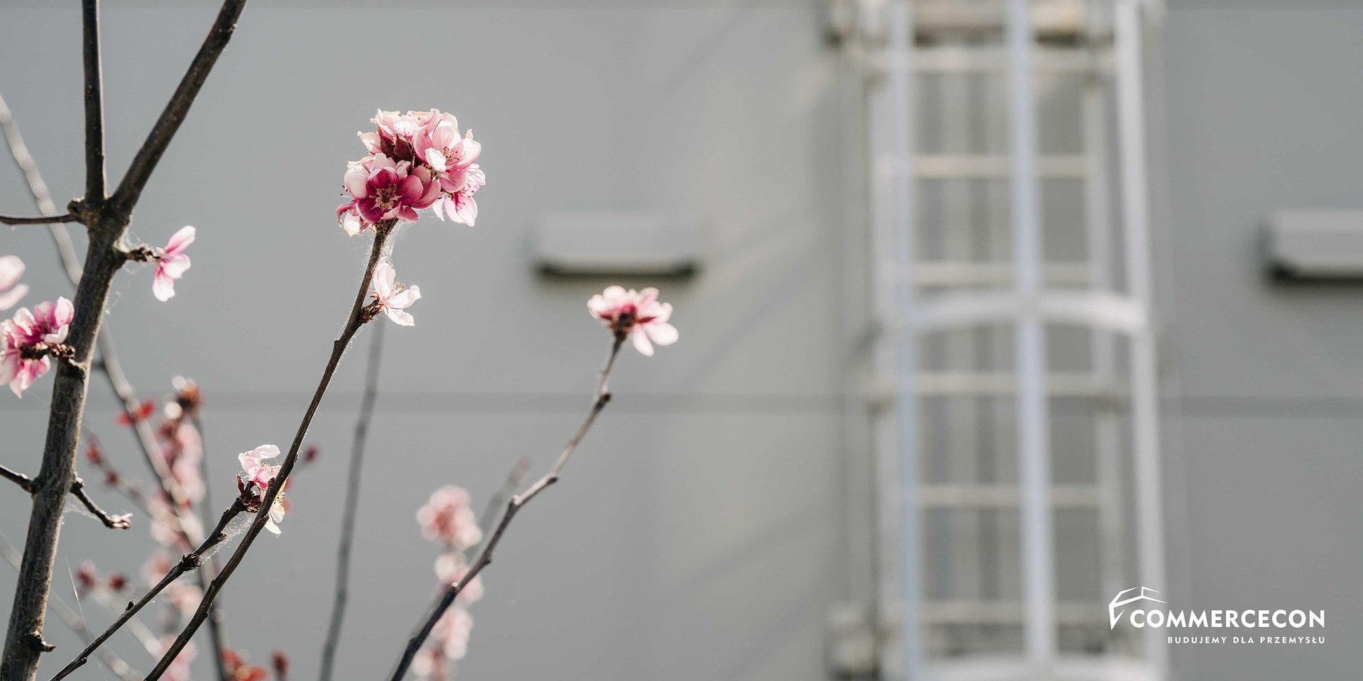 Dach hali przemysłowej i jego funkcje. Jak zapewnić osobom uprawnionym bezpieczną na niego drogę?