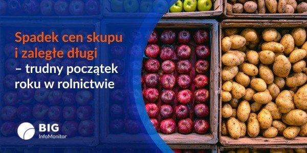 BIG InfoMonitor: Spadek cen skupu i wysokie zobowiązania – trudny początek roku w rolnictwie