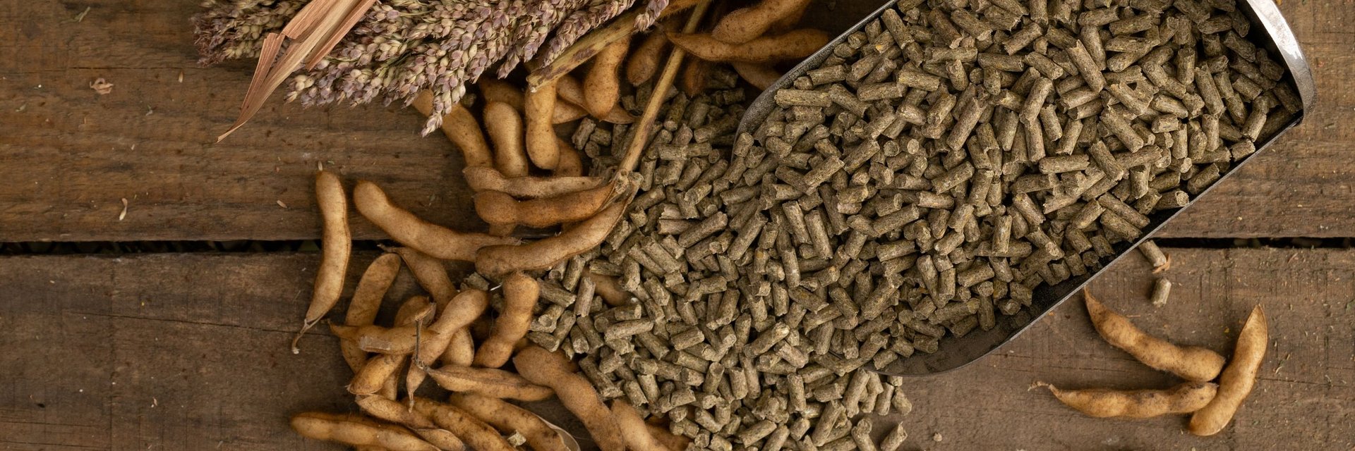 McDonald’s joins Responsible Commodities Facility to Support deforestation free Soy-Producing