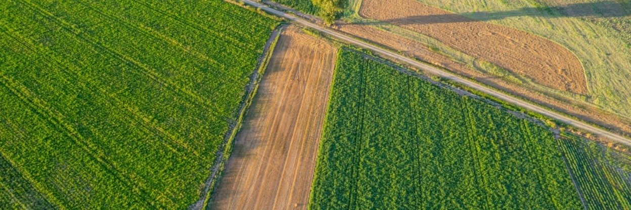 Finansowanie maszyn rolniczych: 2025 rekordowy, a co przesądzi o inwestycjach rolników w 2026 roku?