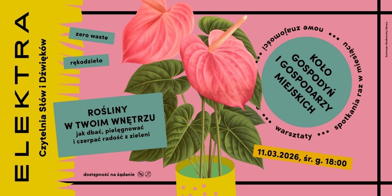 KOŁO GOSPODYŃ I GOSPODARZY MIEJSKICH: Rośliny w twoim wnętrzu