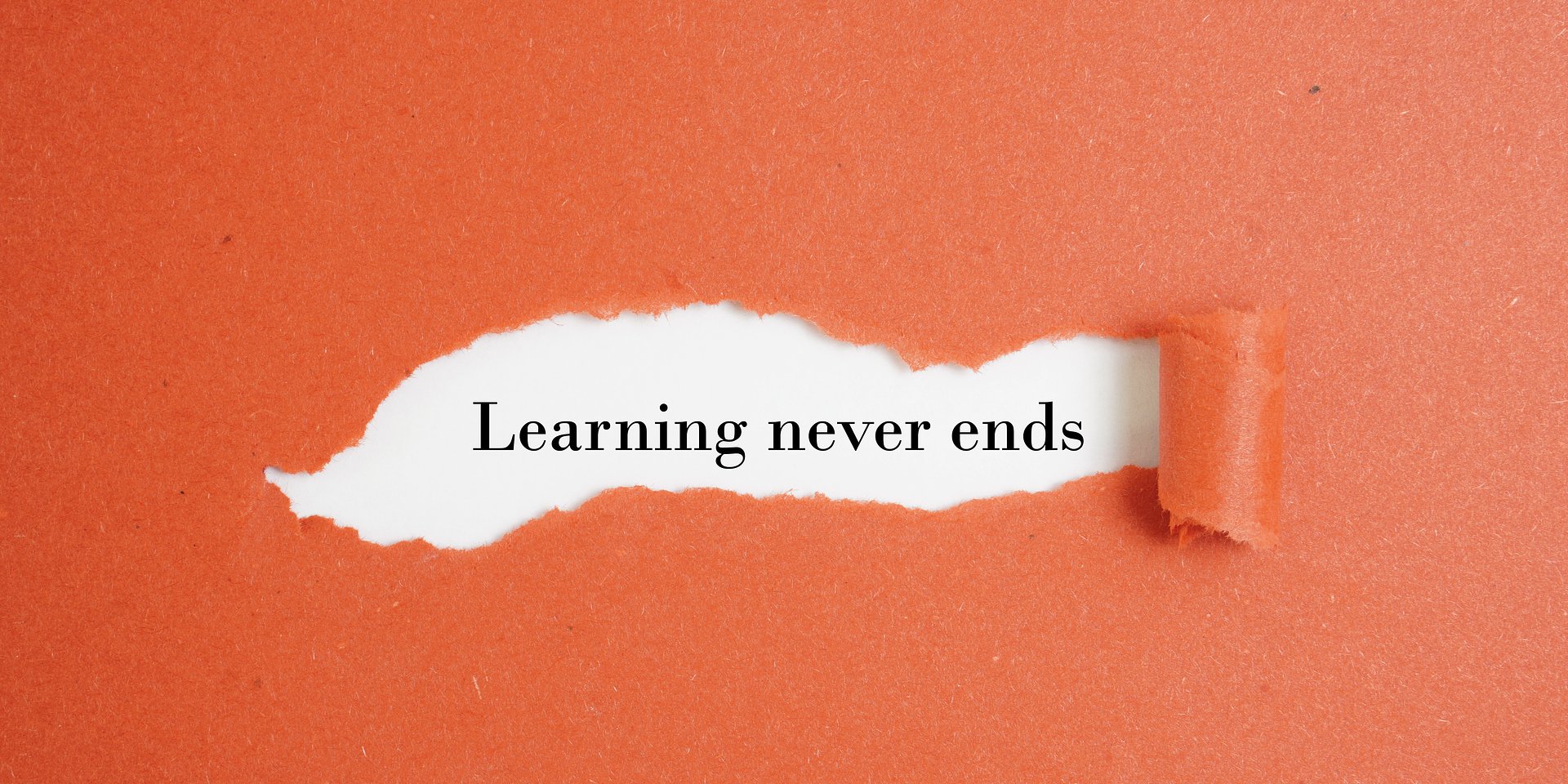 Competence paradox: 82% of working Poles want to learn, but only one in ten feels supported by their company in this regard.