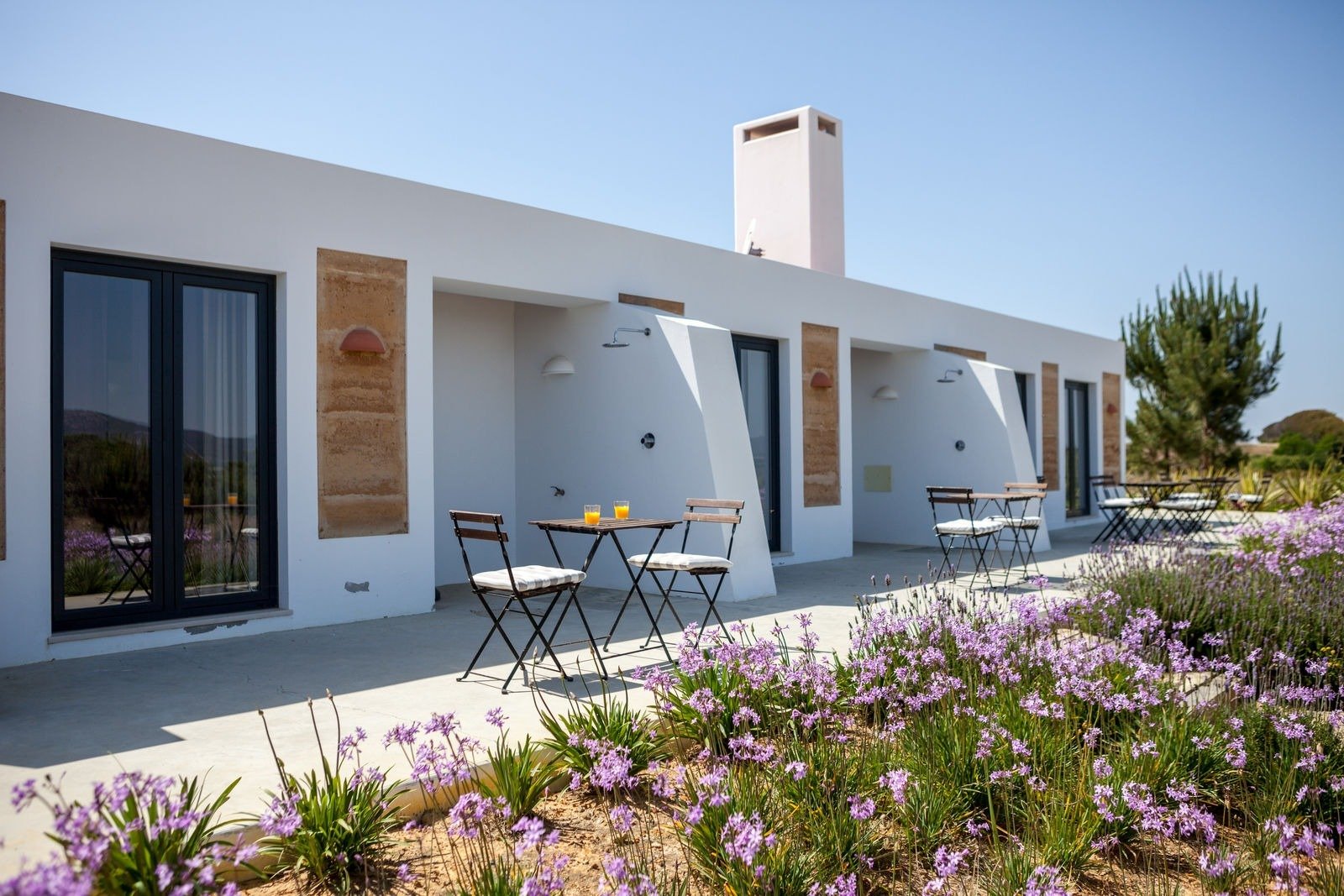 5 Casas de Campo pet-friendly onde ficar na Páscoa