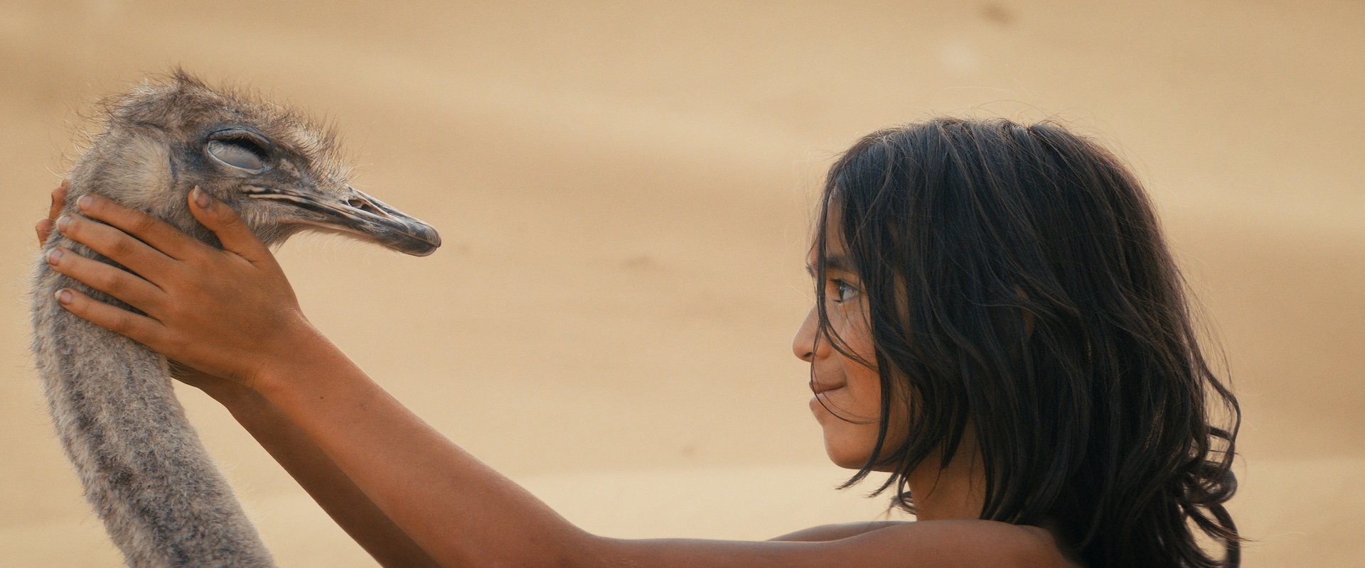 GDY DZIKIE ZWIERZĘTA STAJĄ SIĘ RODZINĄ