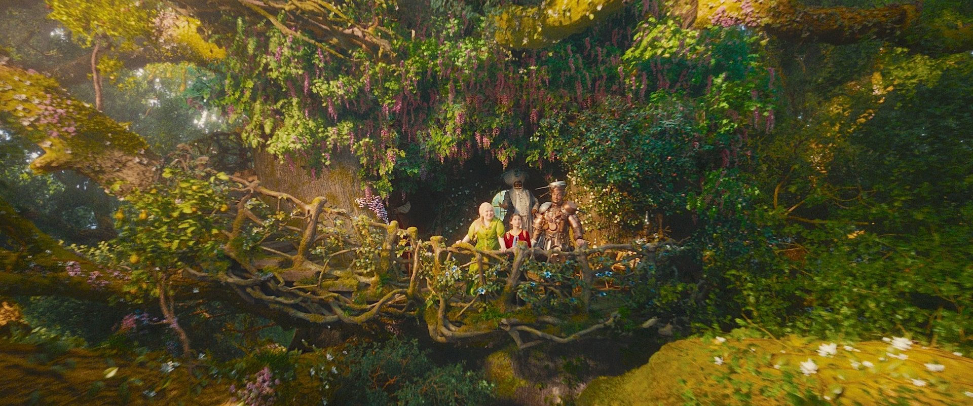 Znamy Europejskie Drzewo Roku 2026. Ale czy może się równać z DRZEWEM MAGII?