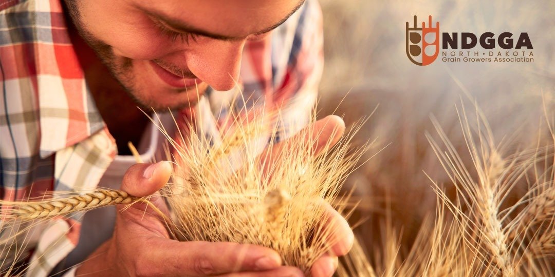 NDGGA Calls for Expanded Farm Storage Facility Loans to Include On-Farm Fertilizer Storage
