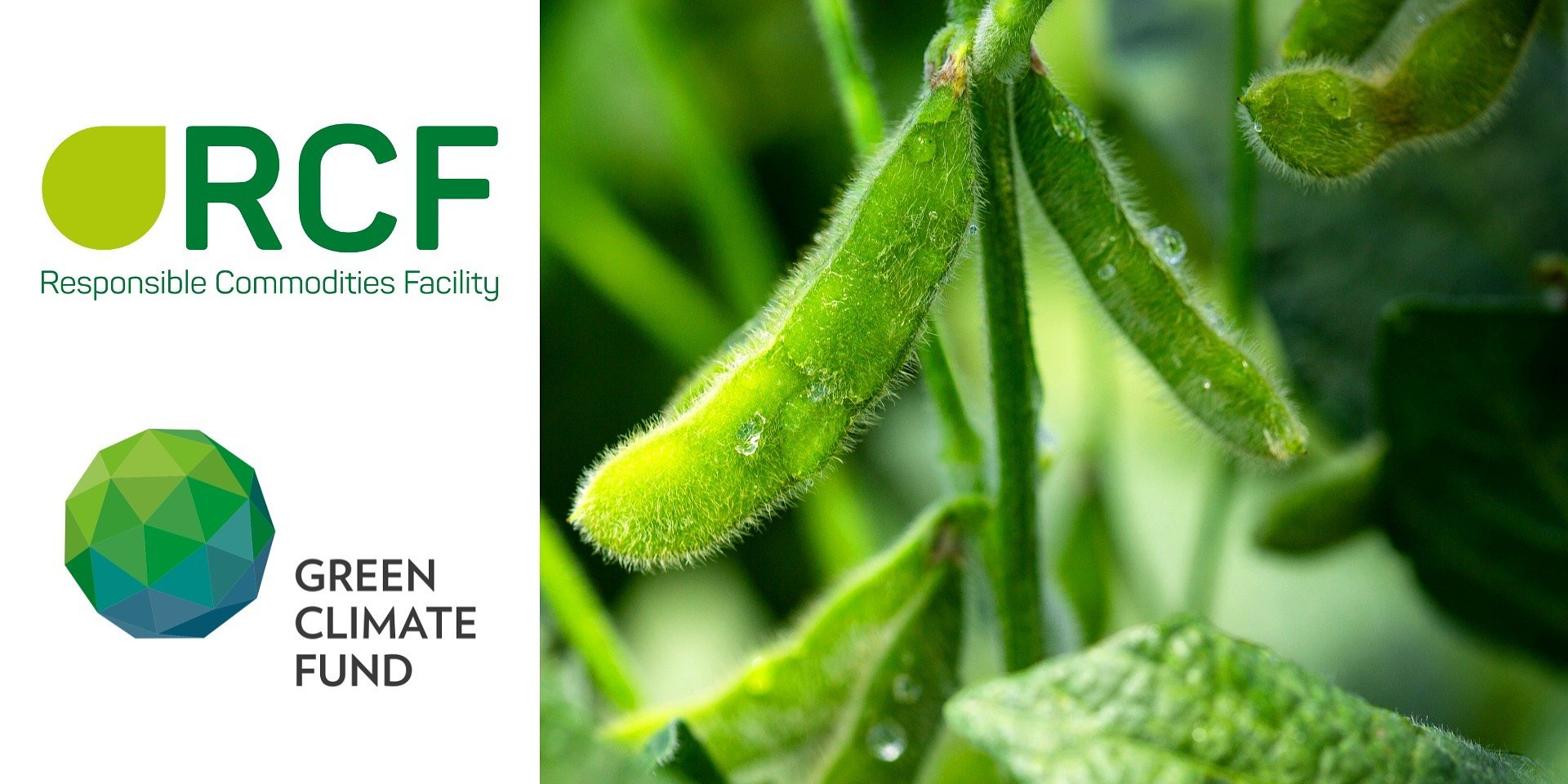 Green Climate Fund backs Responsible Commodities Facility with $85million investment