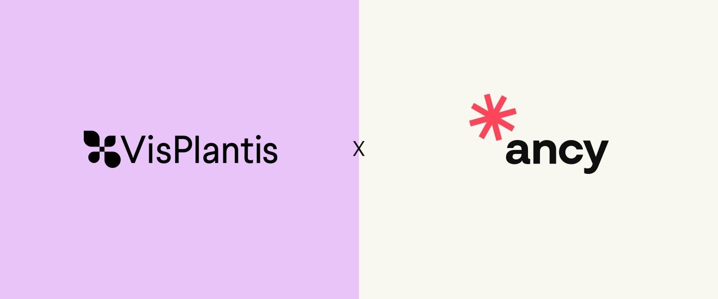 Vis Plantis razem z Ancy