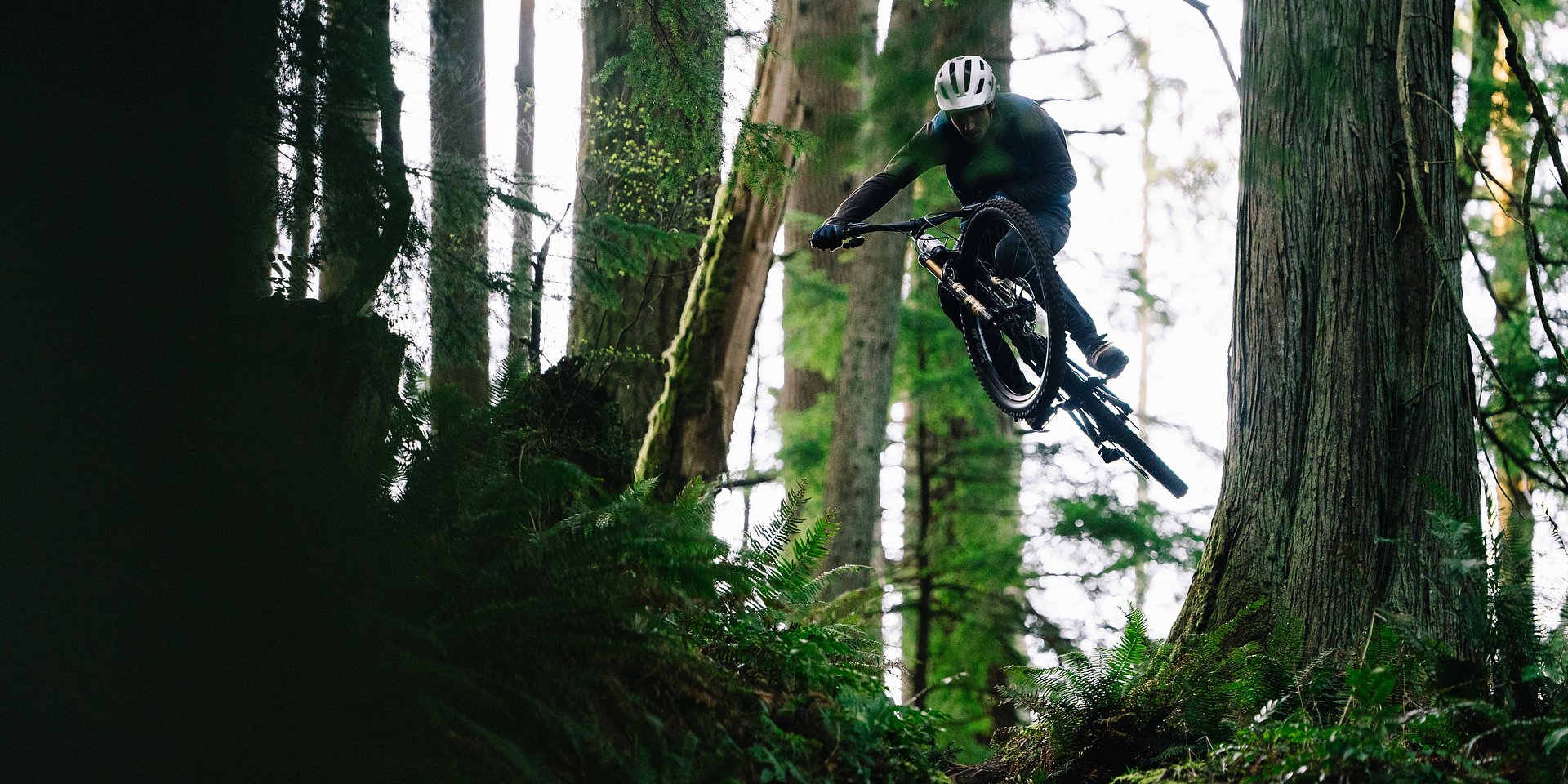 Transition Bikes stellt das neue TR11 sowie Updates für Sentinel und Regulator vor