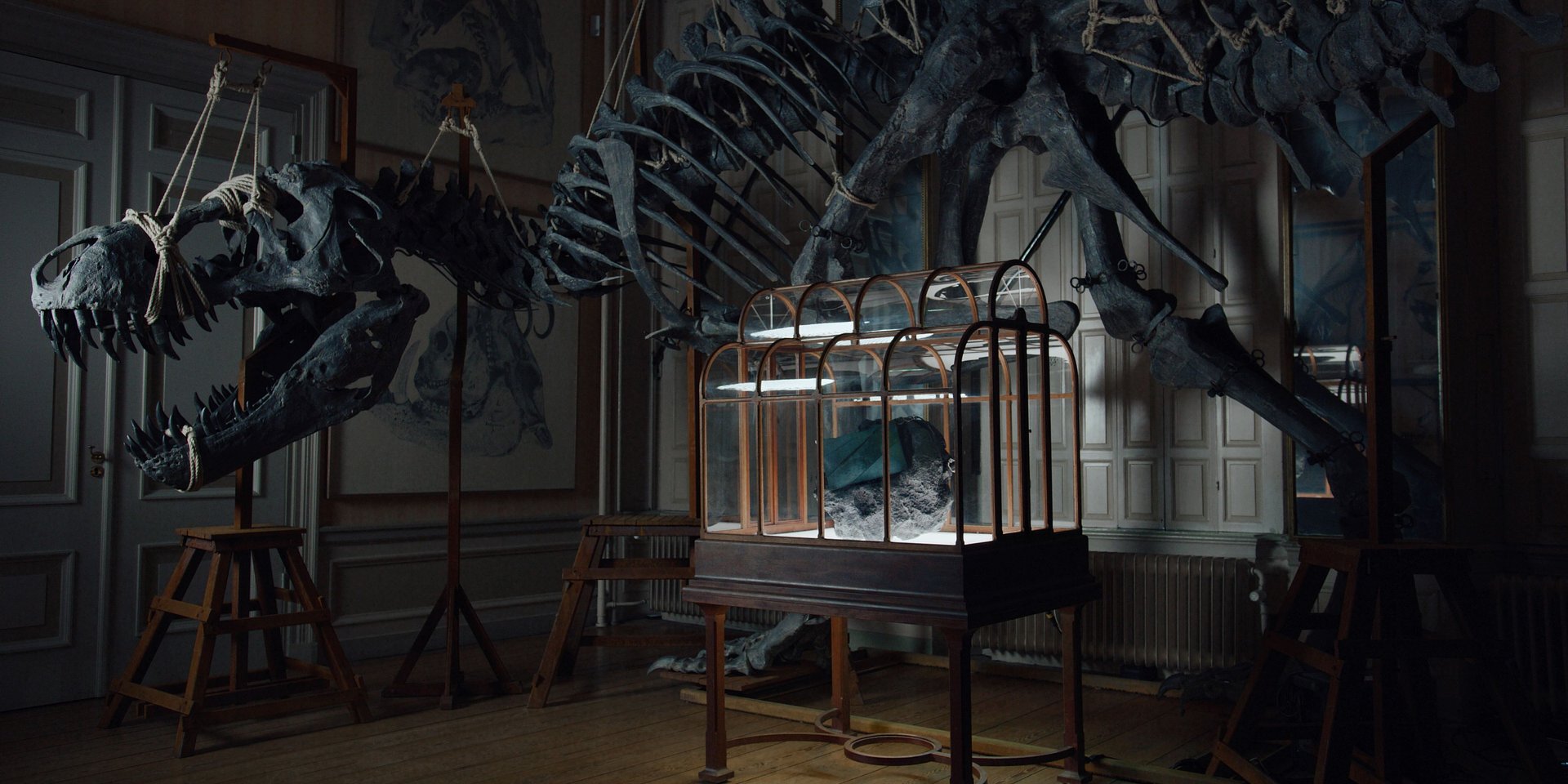 Światowy debiut produktu ze skóry T-Rexa – luksusowa torebka zaprojektowana przez Enfin Levé