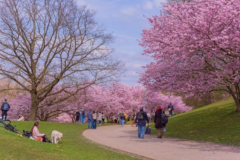 Nowy raport Zymetrii o nastrojach Polaków: drożyzna i geopolityka straszą, ale codzienność wciąż stabilna