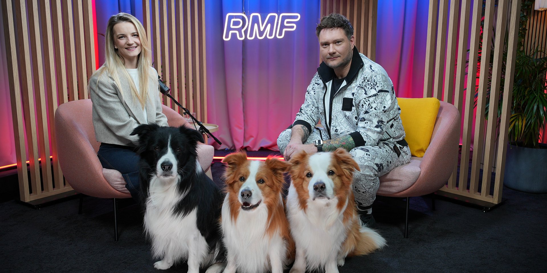 Psy w reklamach i na planach filmowych. Ile naprawdę zarabiają czworonożni aktorzy?