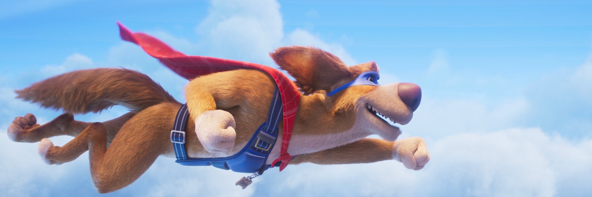 SUPER PIES I KOT ŁOTR